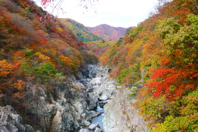 龍王峡秋